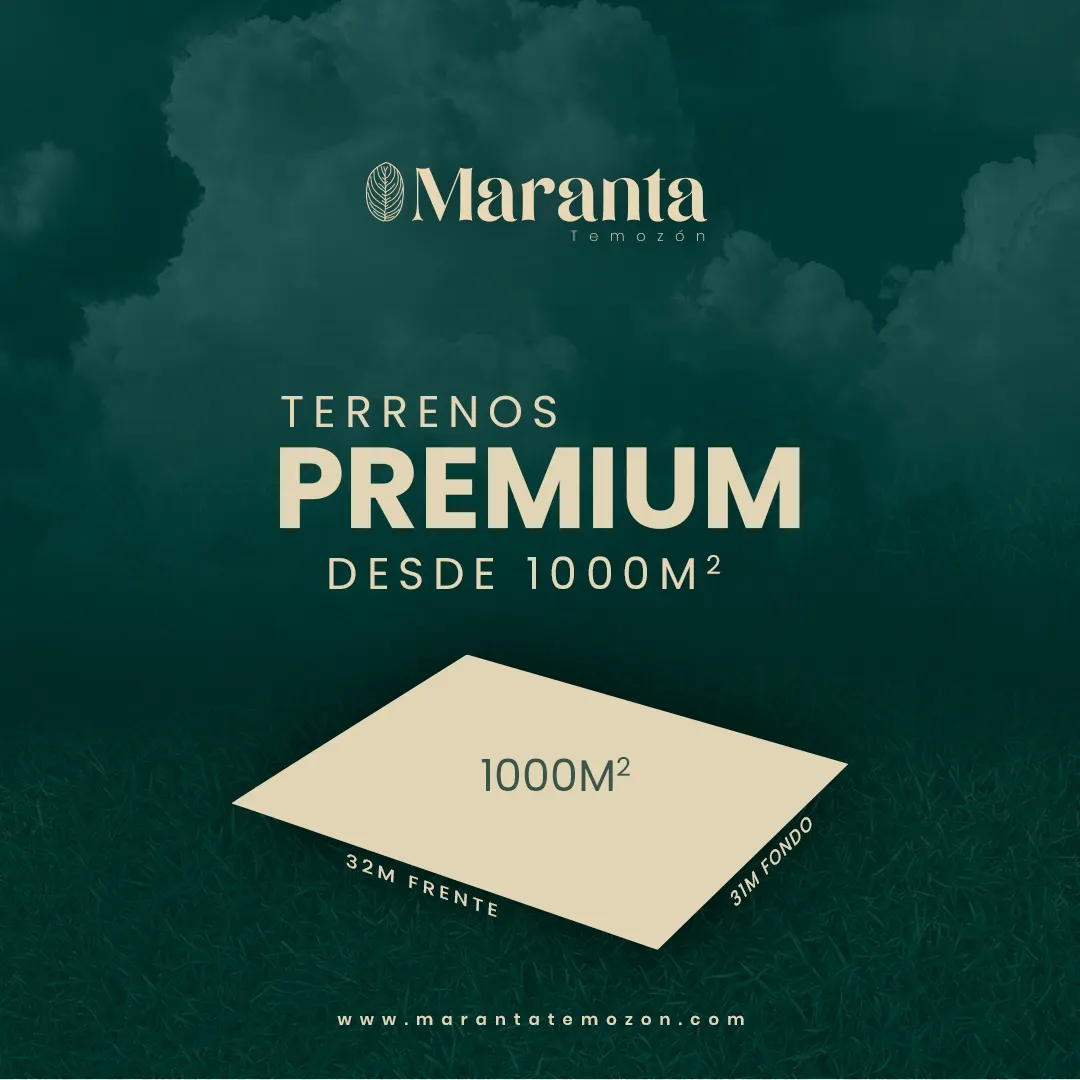 Maranta Temozón — foto 2